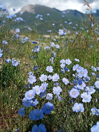 Neurothérapie des mouvements oculaires (emdr+) image