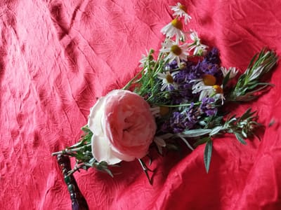 stage DAnse tissulaire et constellations image