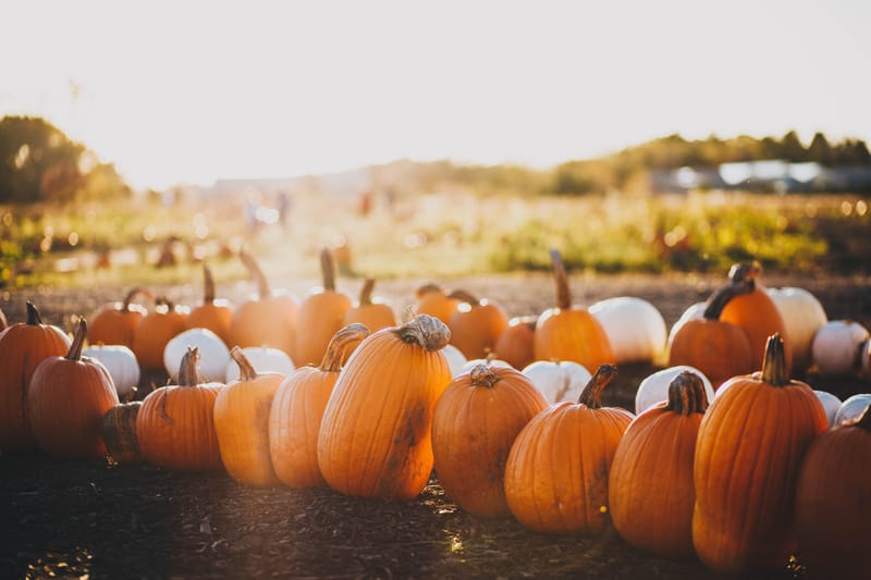 Keto Pumpkin Spice Latte!