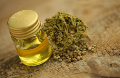 Some Important Details to Note When Buying CBD Products