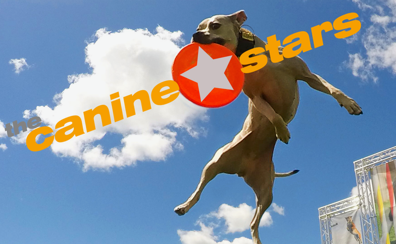 Your Hearing Dog Inc. Grand Kickoff Celebration