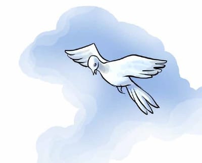 סיפור מס' 10 | ילד במזוודה