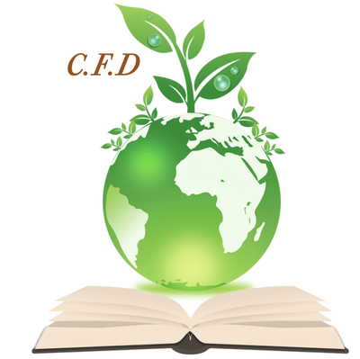 CFD