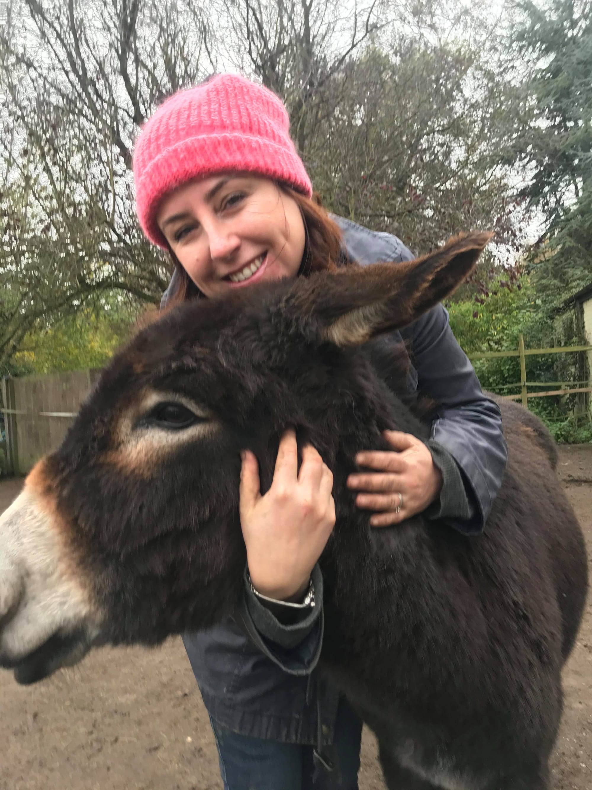 Donkey love therapy 