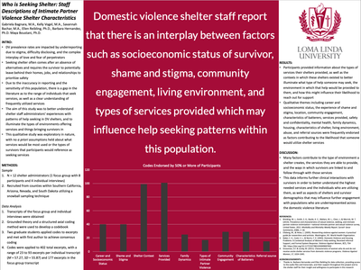 Who is Seeking Shelter: Staff Descriptions of Intimate Partner Violence Shelter Characteristics and Services Provided
