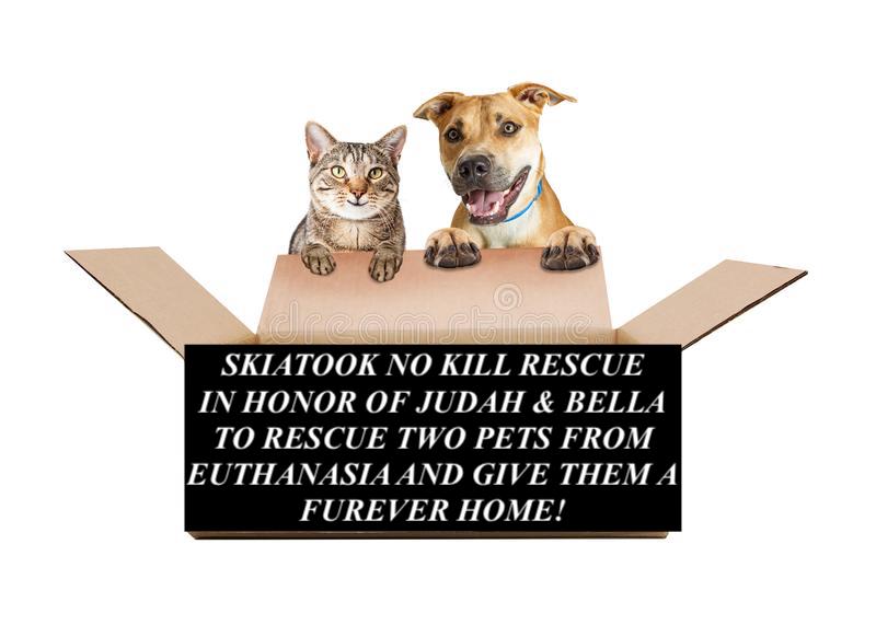 $150 SKIATOOK NO KILL SHELTER