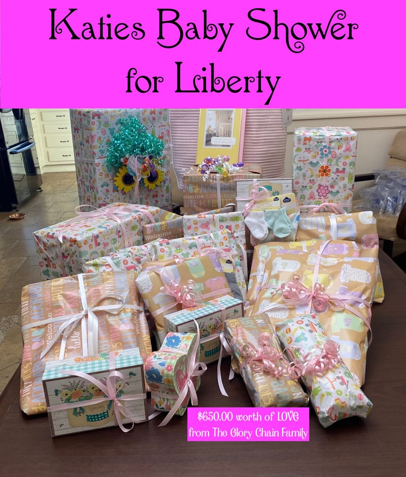 $650.00 COMPLETE BABY SHOWER FOR KATIE