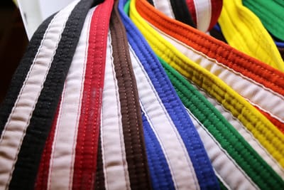 All grades from Blue belt to Brown & Red belt