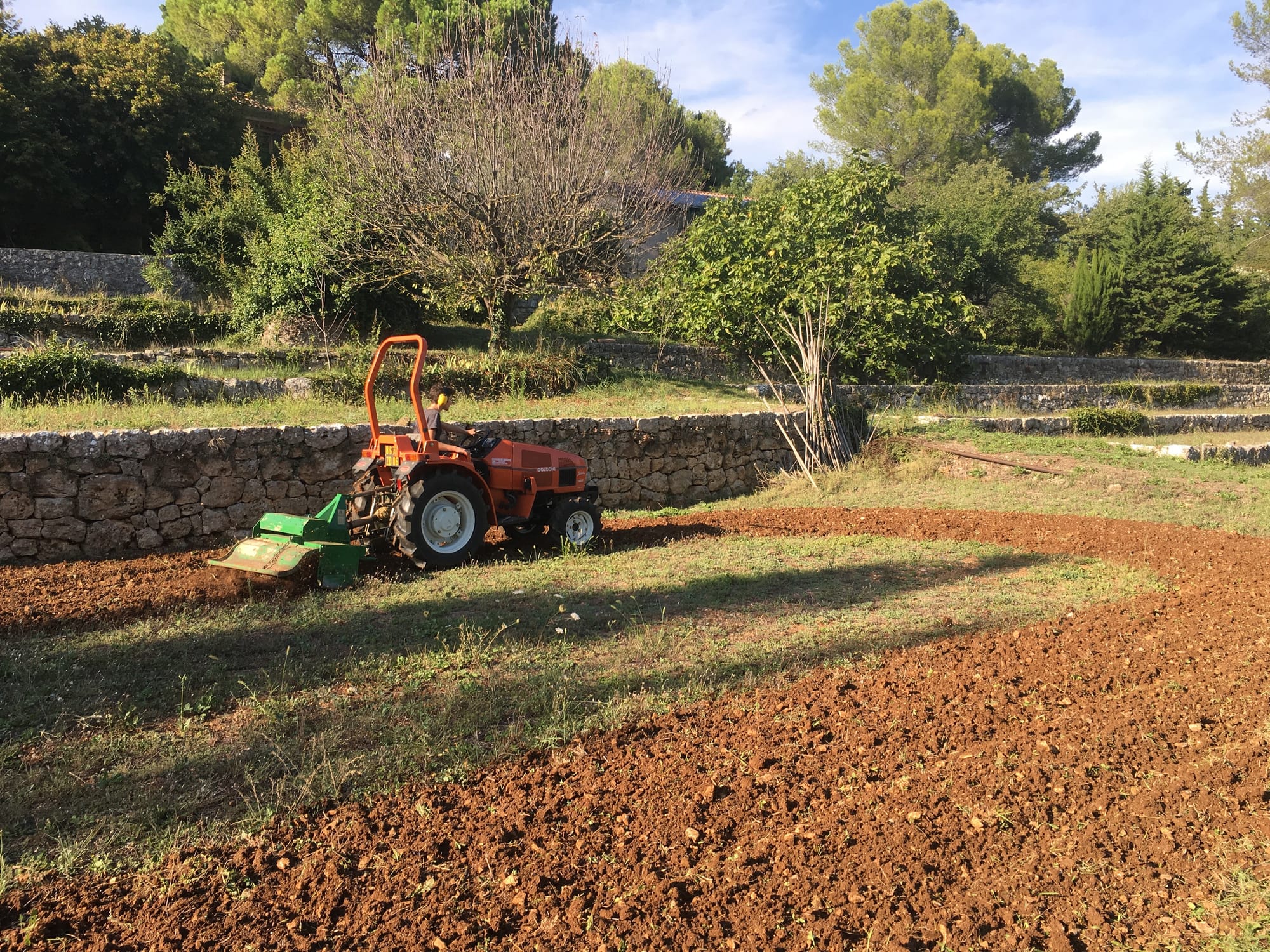 Fabrication de l'engrais vert (fai gau de vèire lou nistoun lou faire - ca fait plaisir de voir le petit s’intéresser)