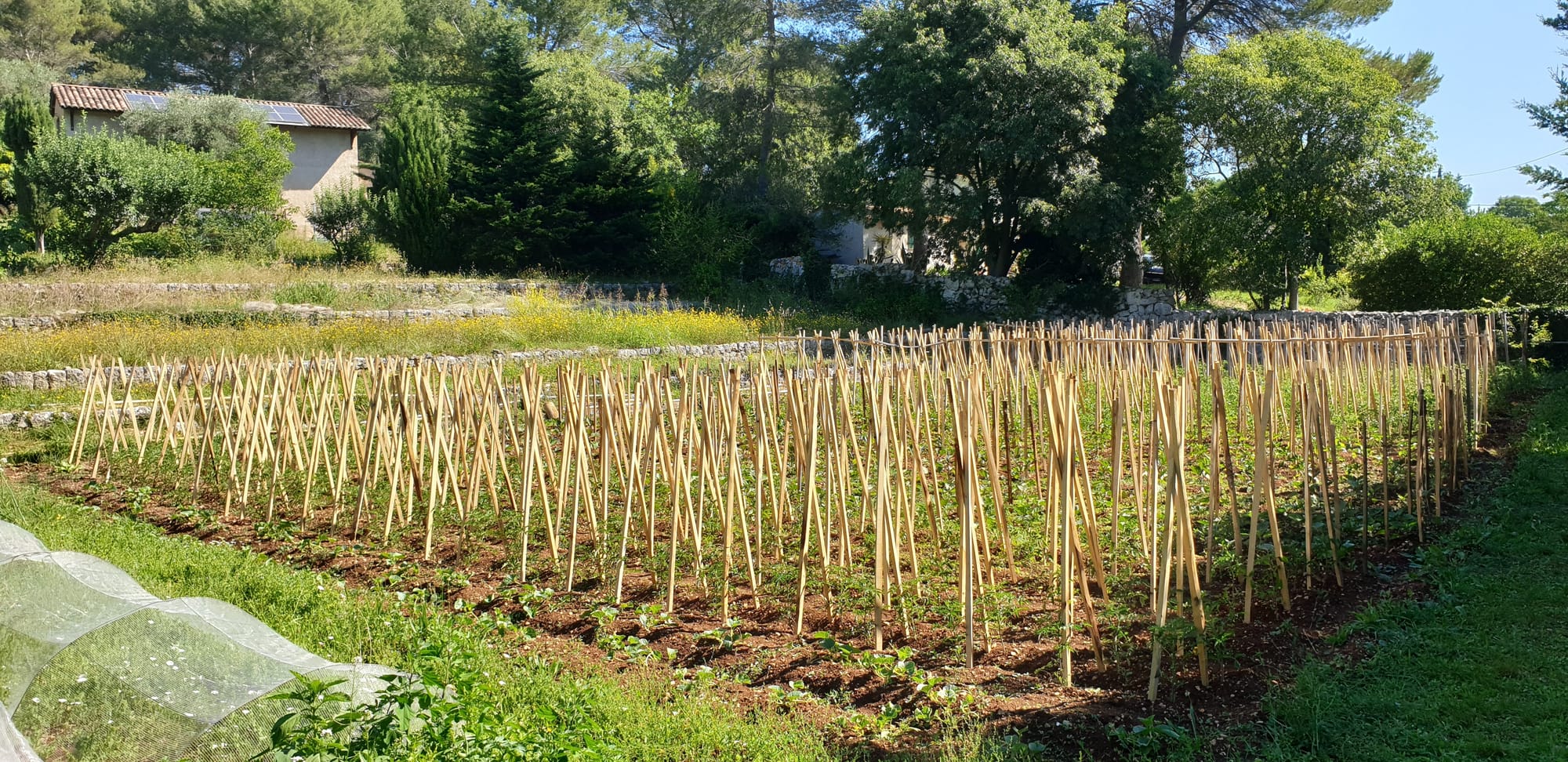 L'été est de retour