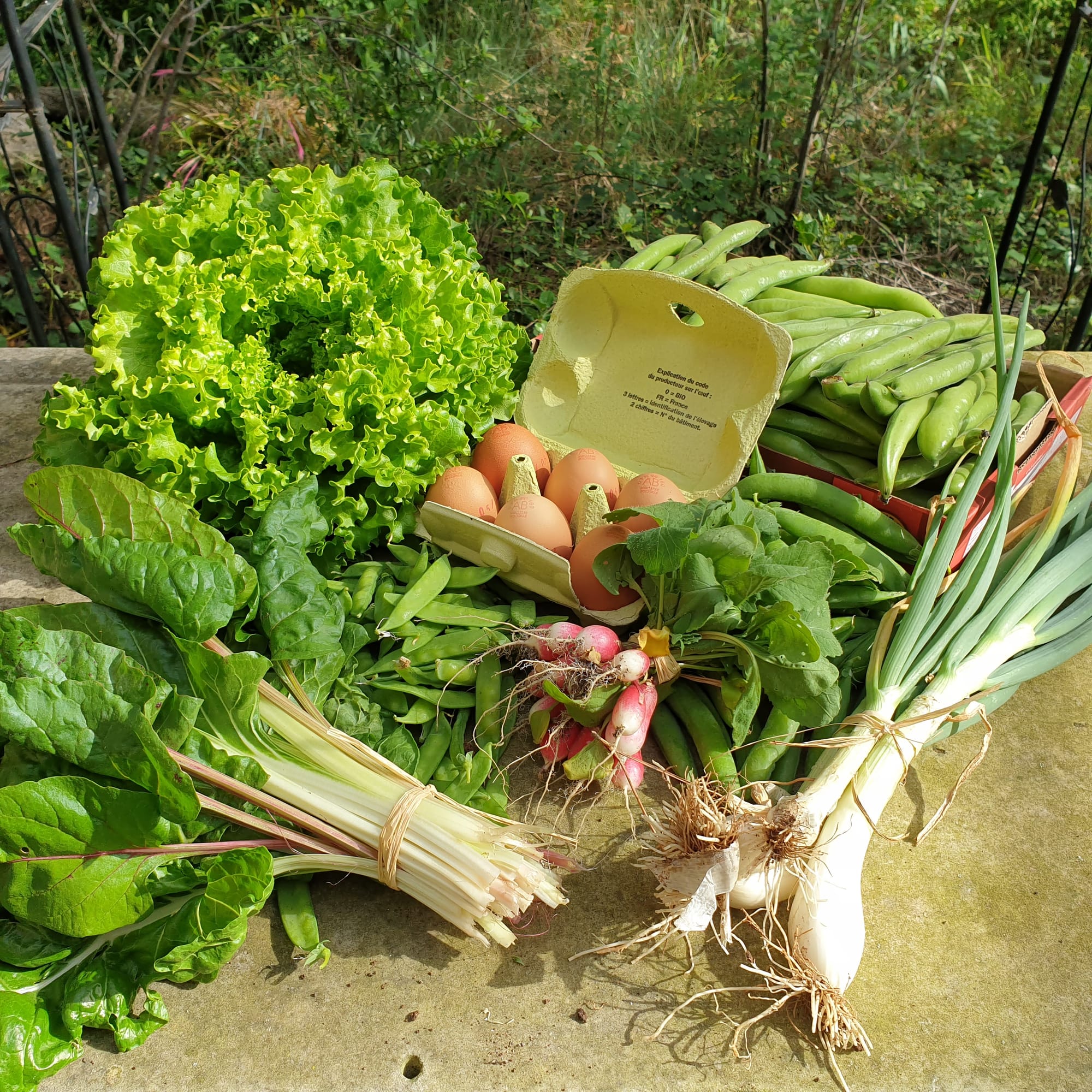 Panier du 07/05/2022 (abonnés 2021 uniquement)