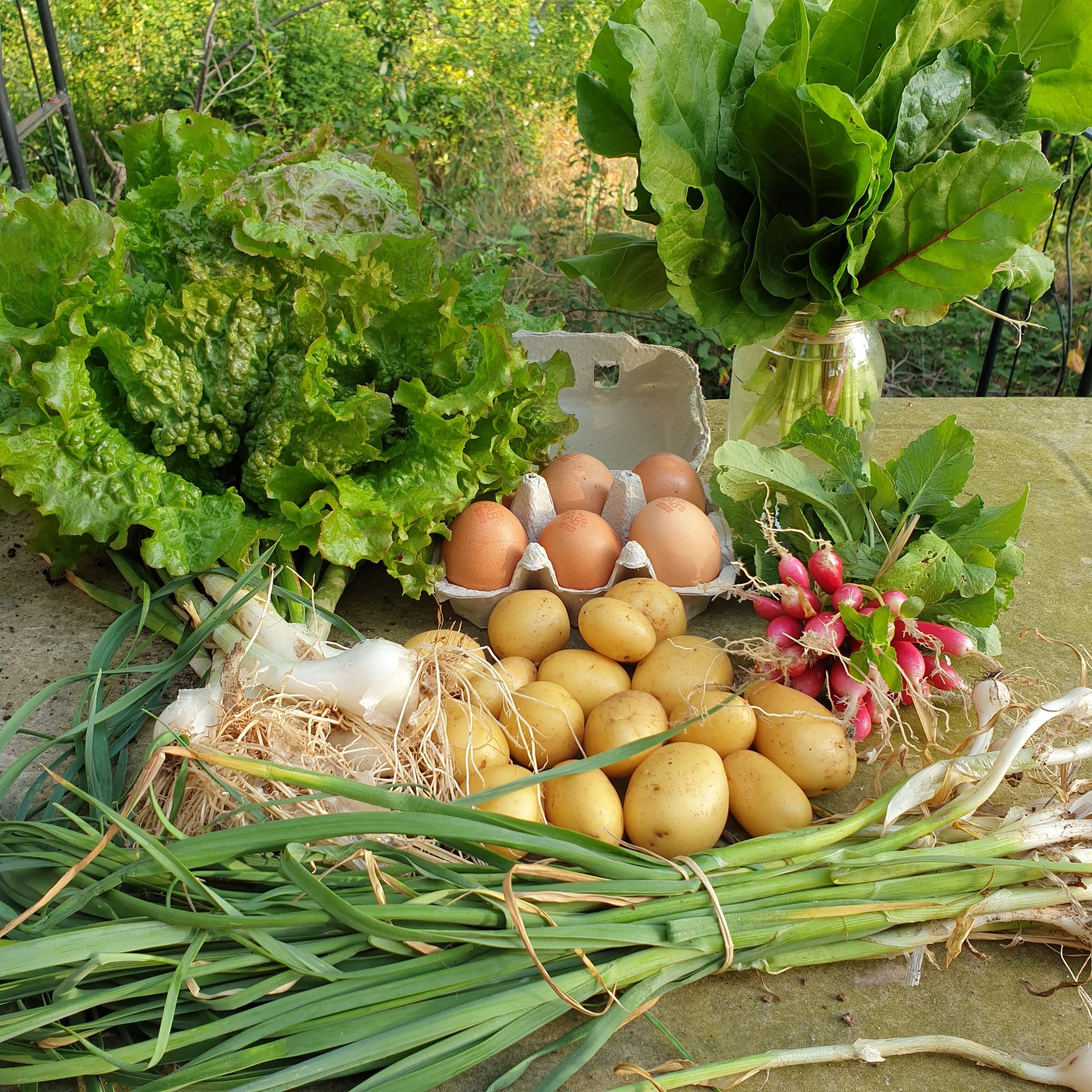 Panier du 21/05/2022 (Abonnés 2021)