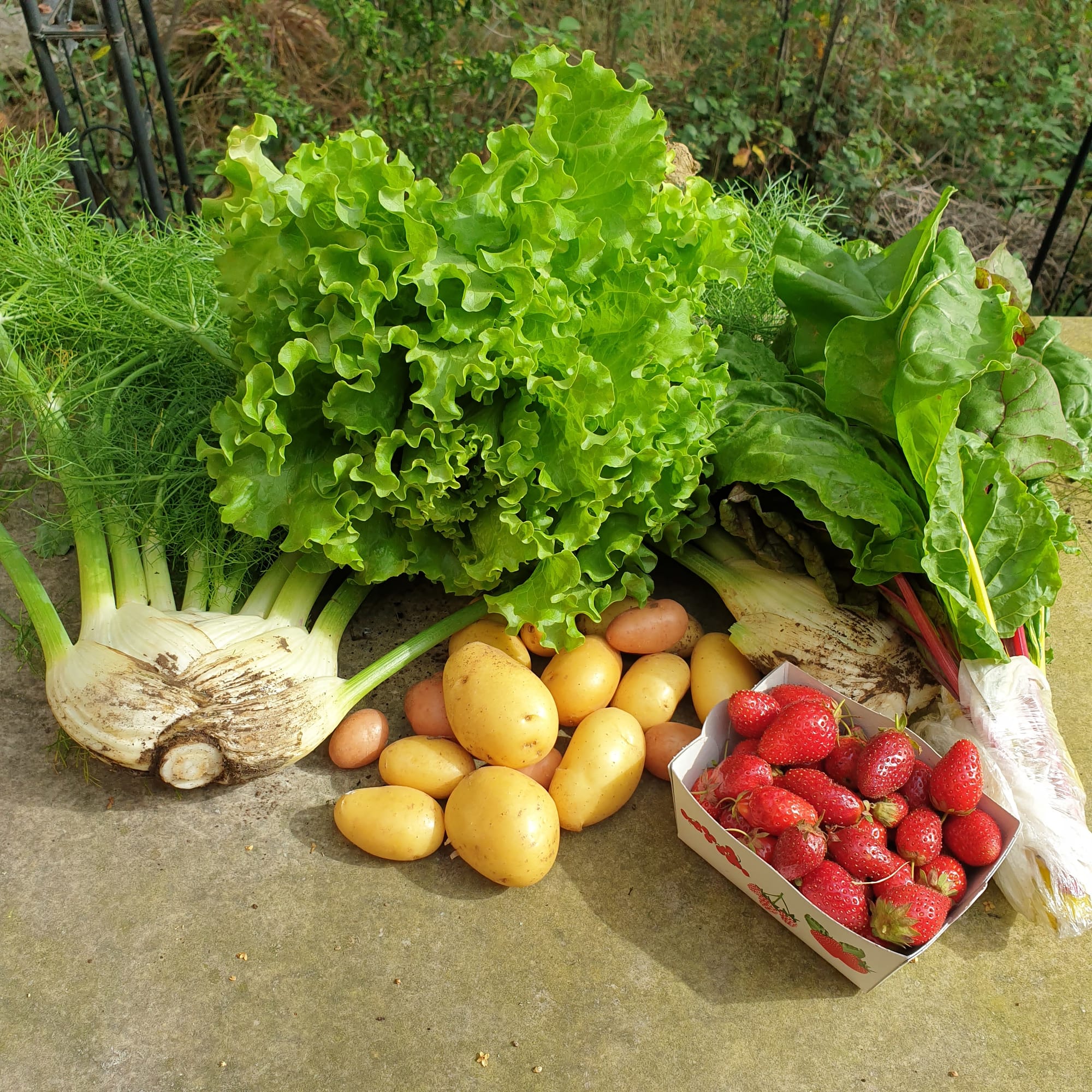 Panier du 04/06/2022