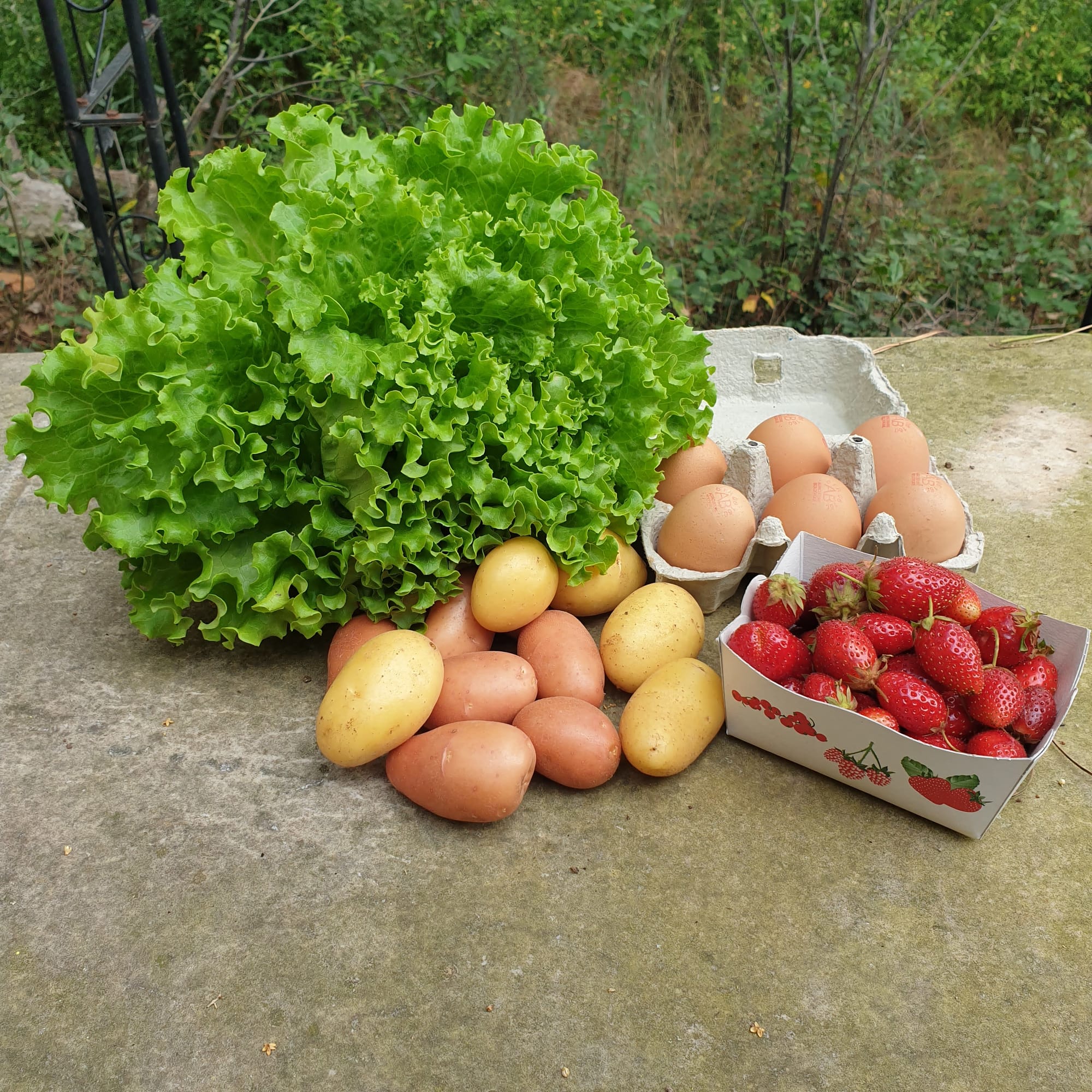 Panier célibat de 28/05 (abonnés 2021)