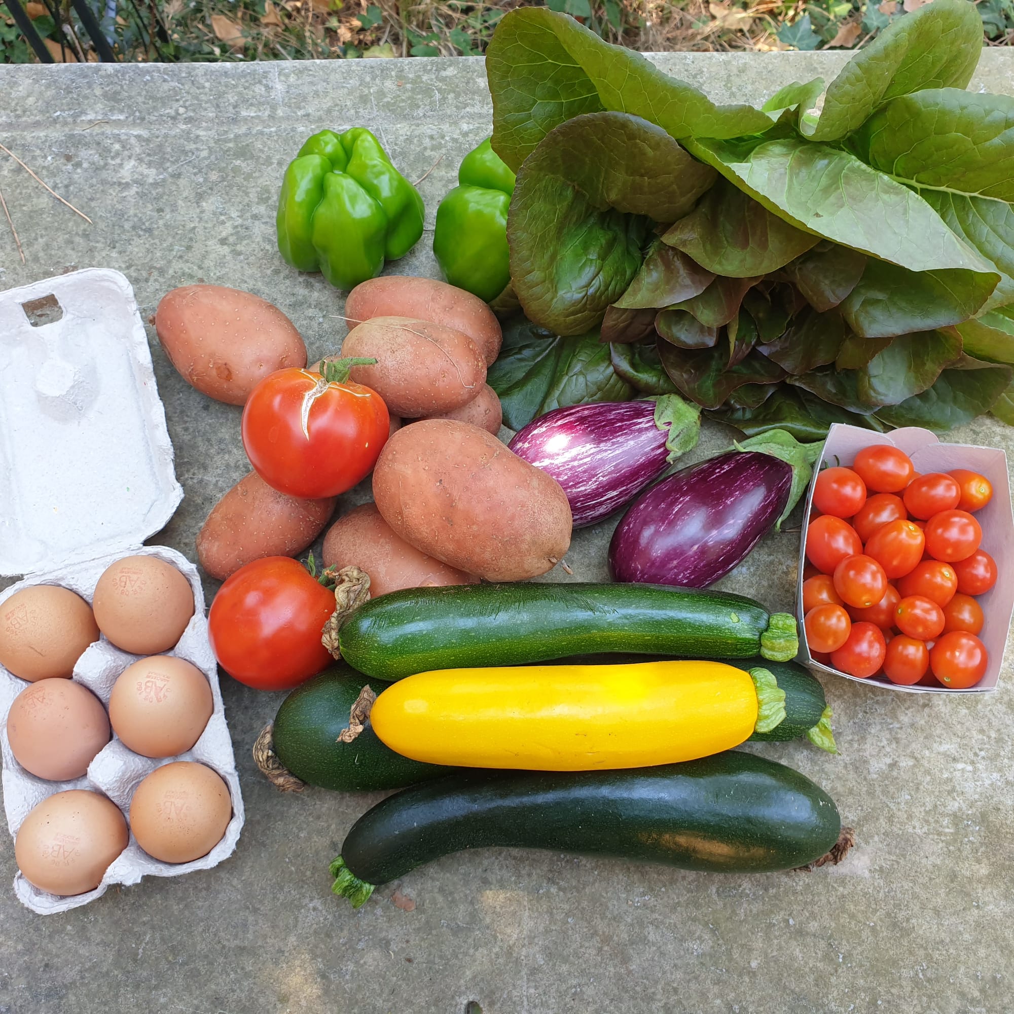 Panier du 20/07/2022 (Abonnés 2021 uniquement)