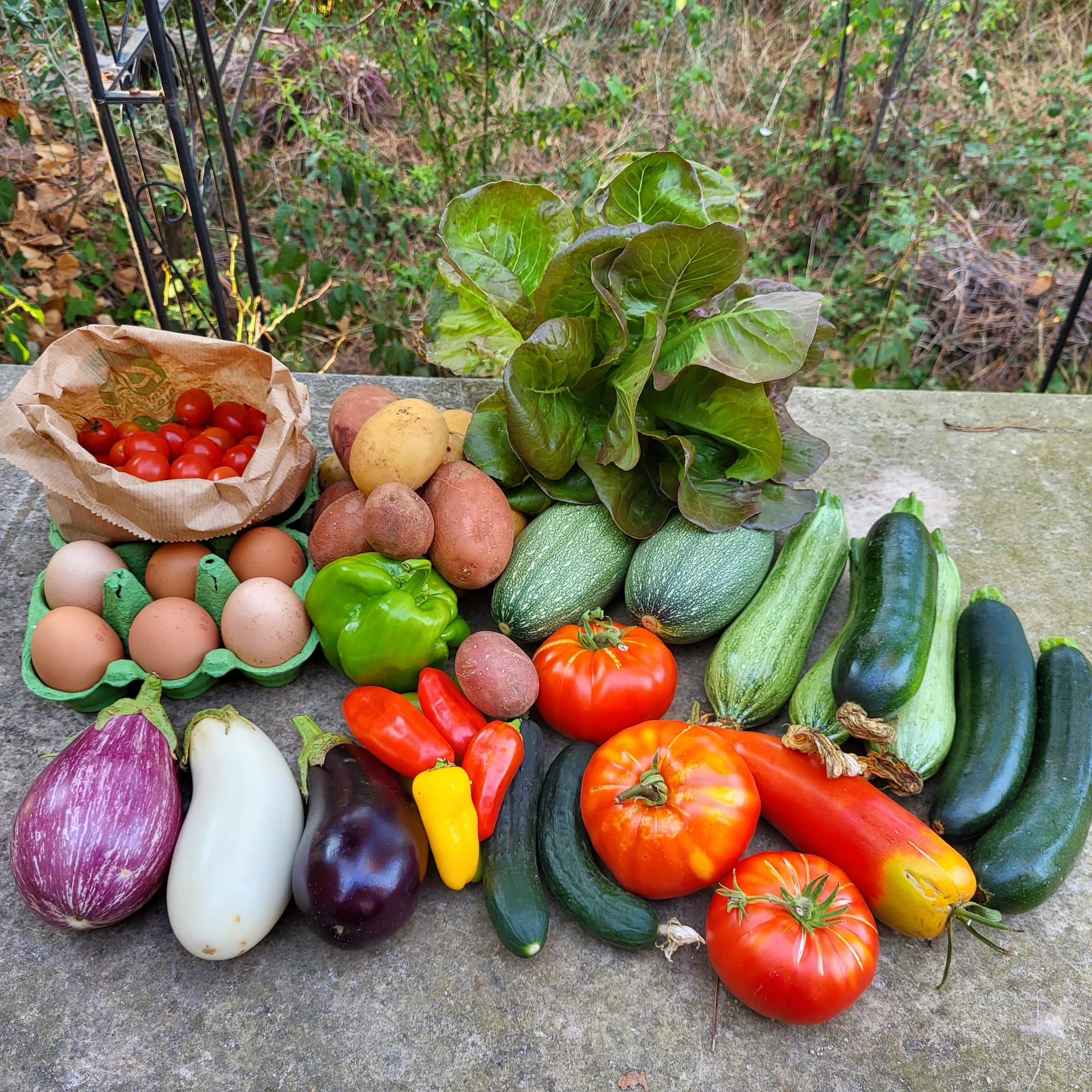 Panier du 03/07/2022