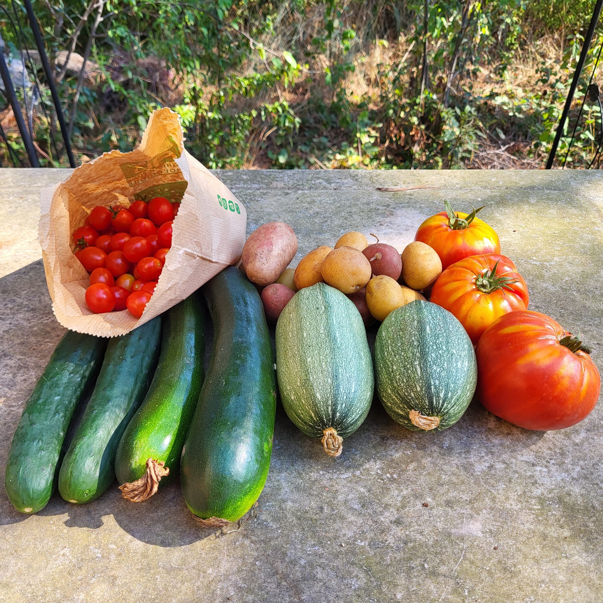 Panier du 06/08/2022