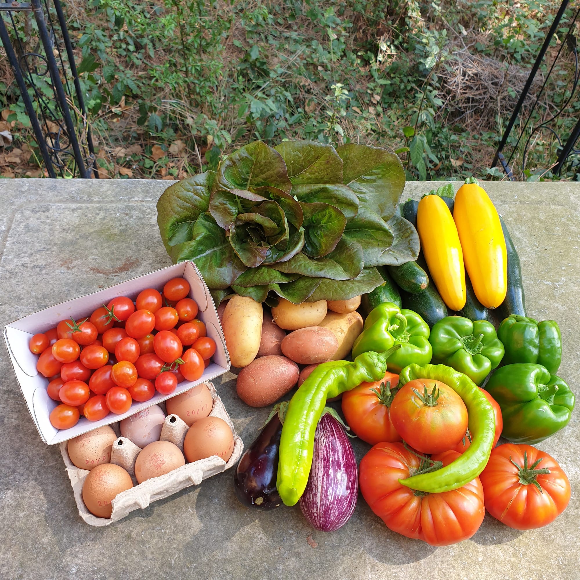 Panier petite famille (Premiers abonnés 2022) 