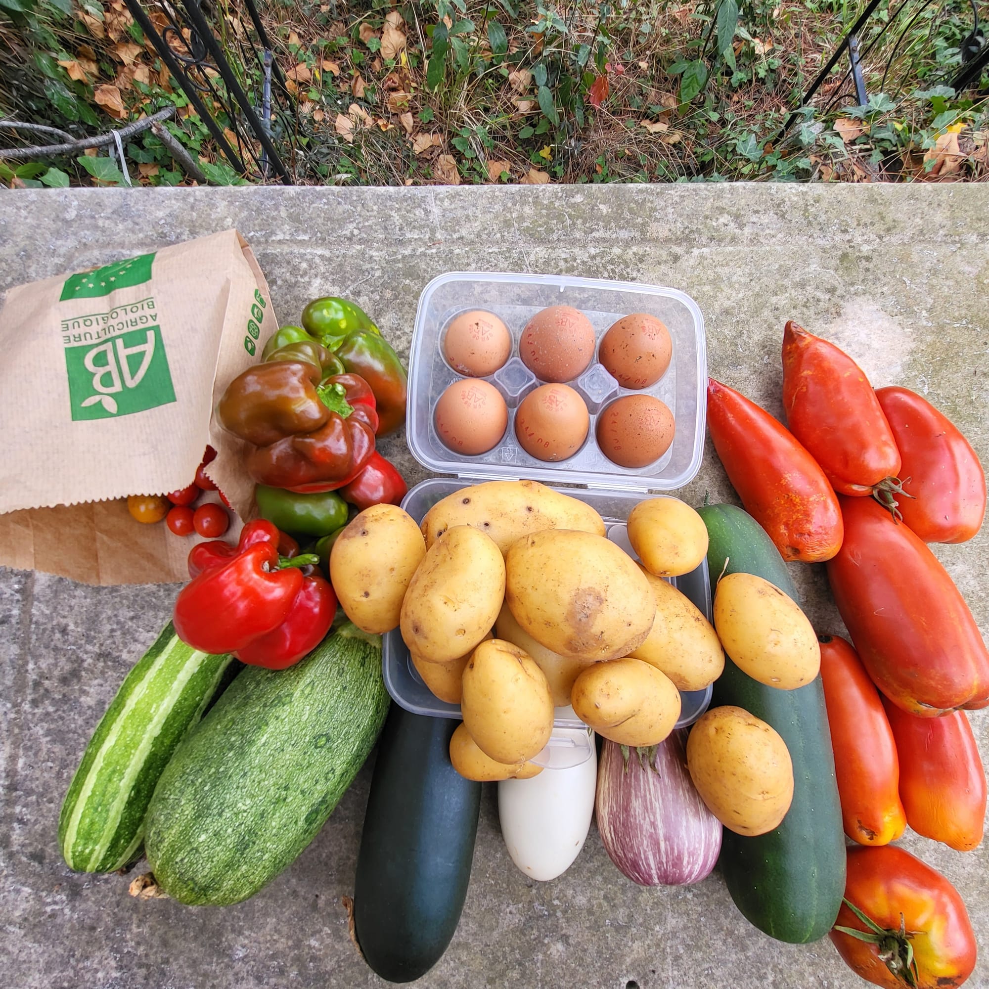 Panier du 27/08/2022