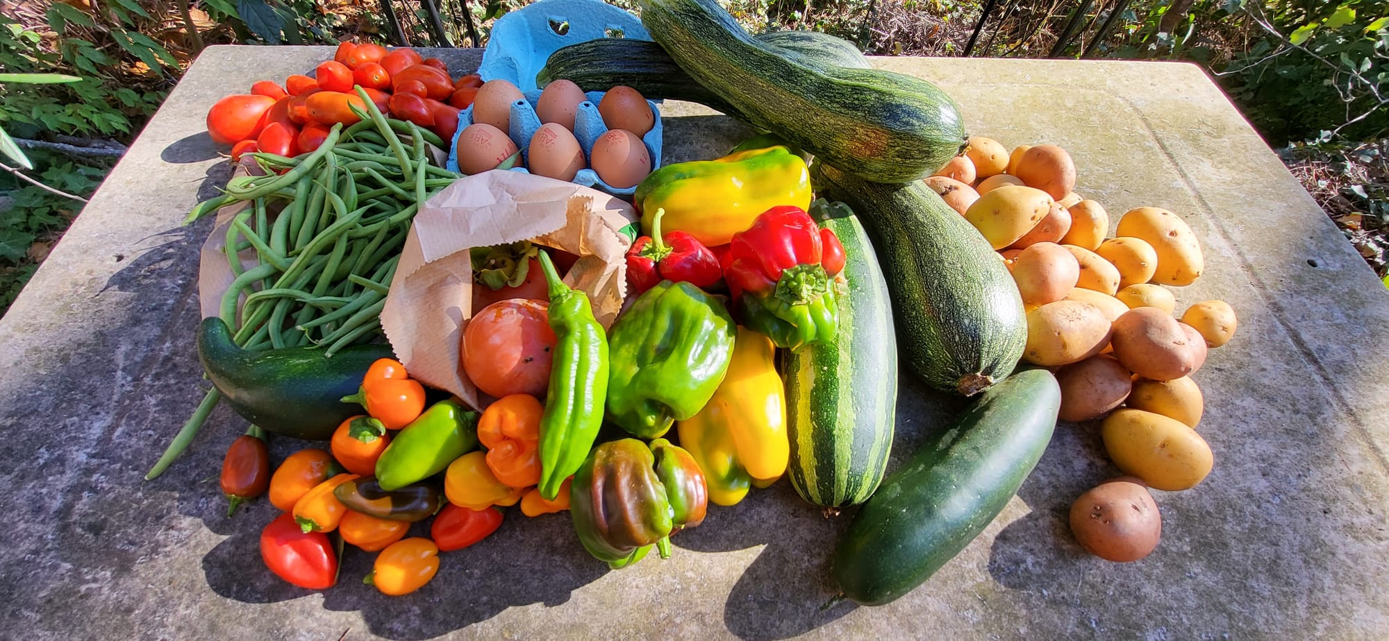 Panier du 17/09/2022