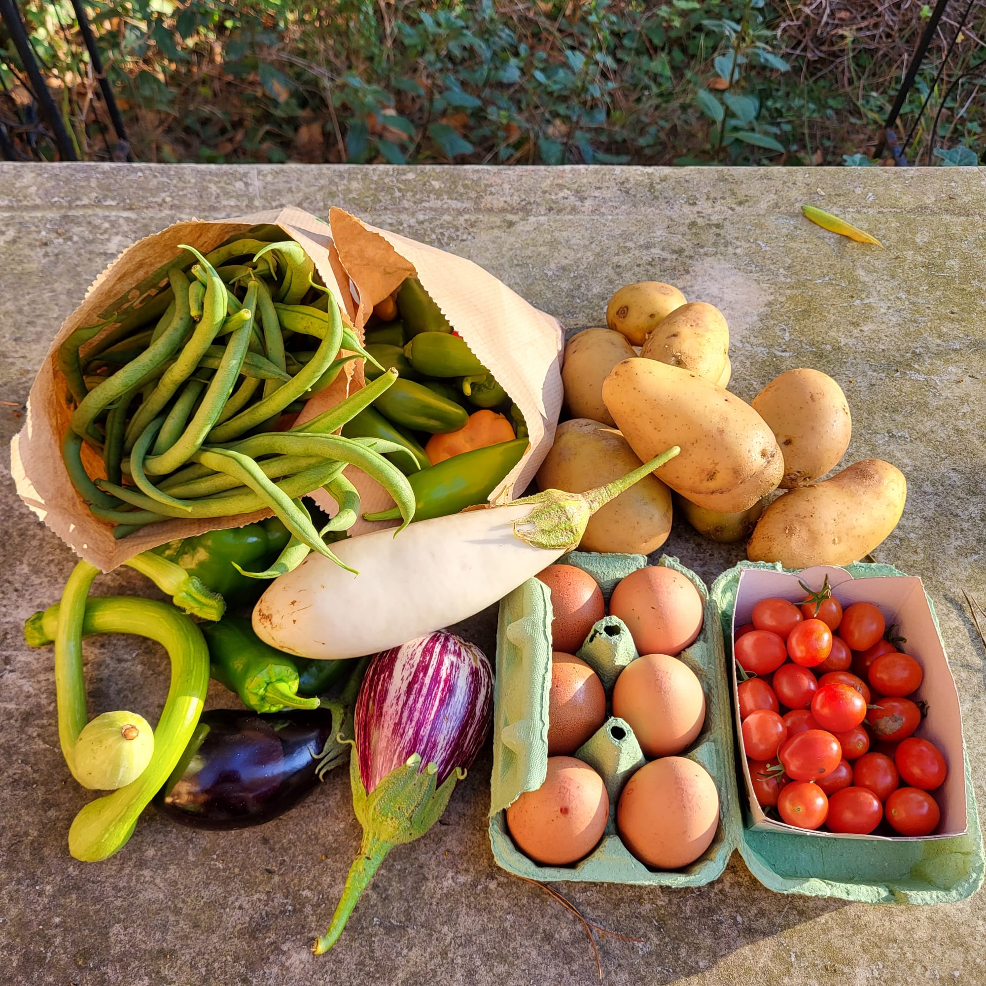 Panier du 15/10/2022