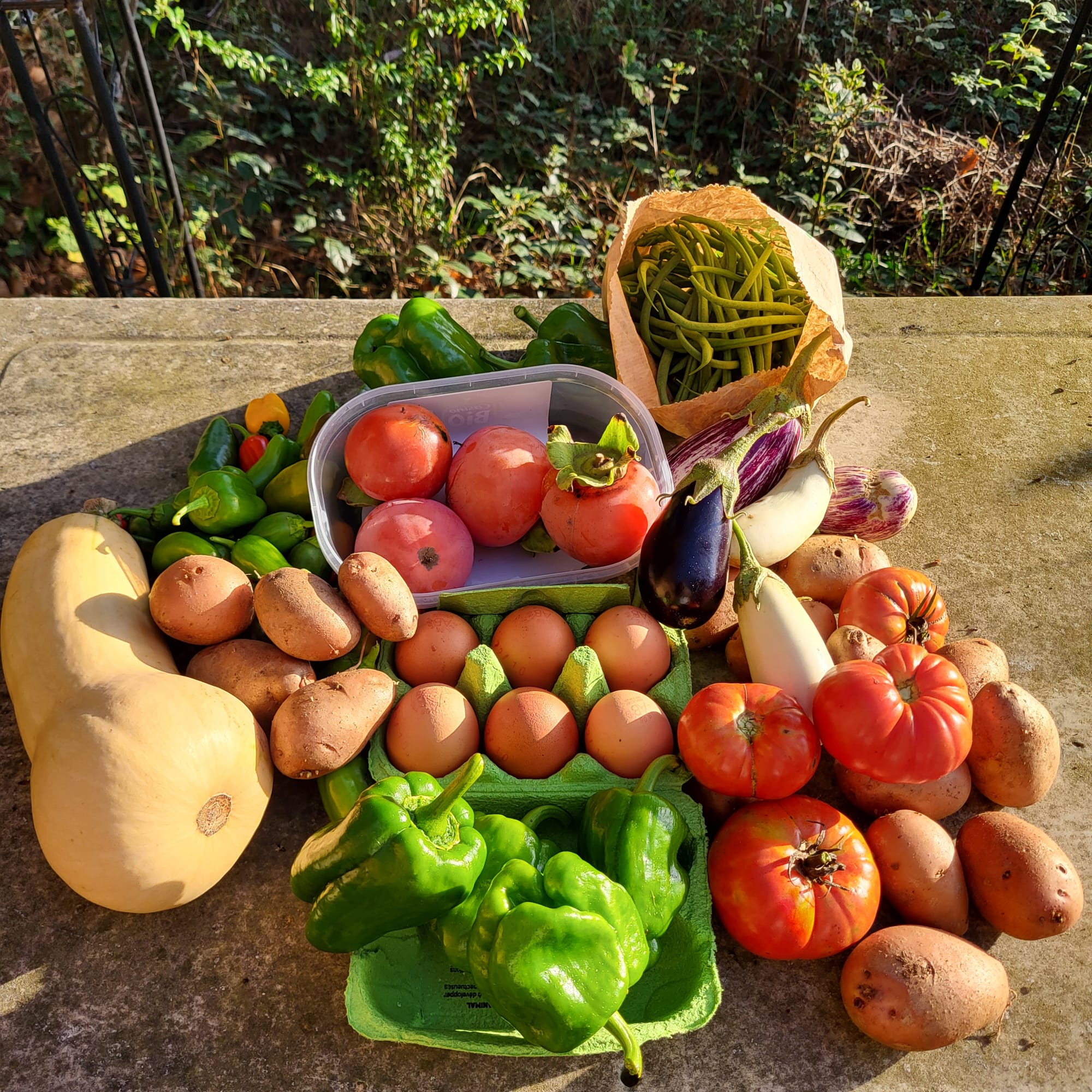 Panier du 22/10/2022