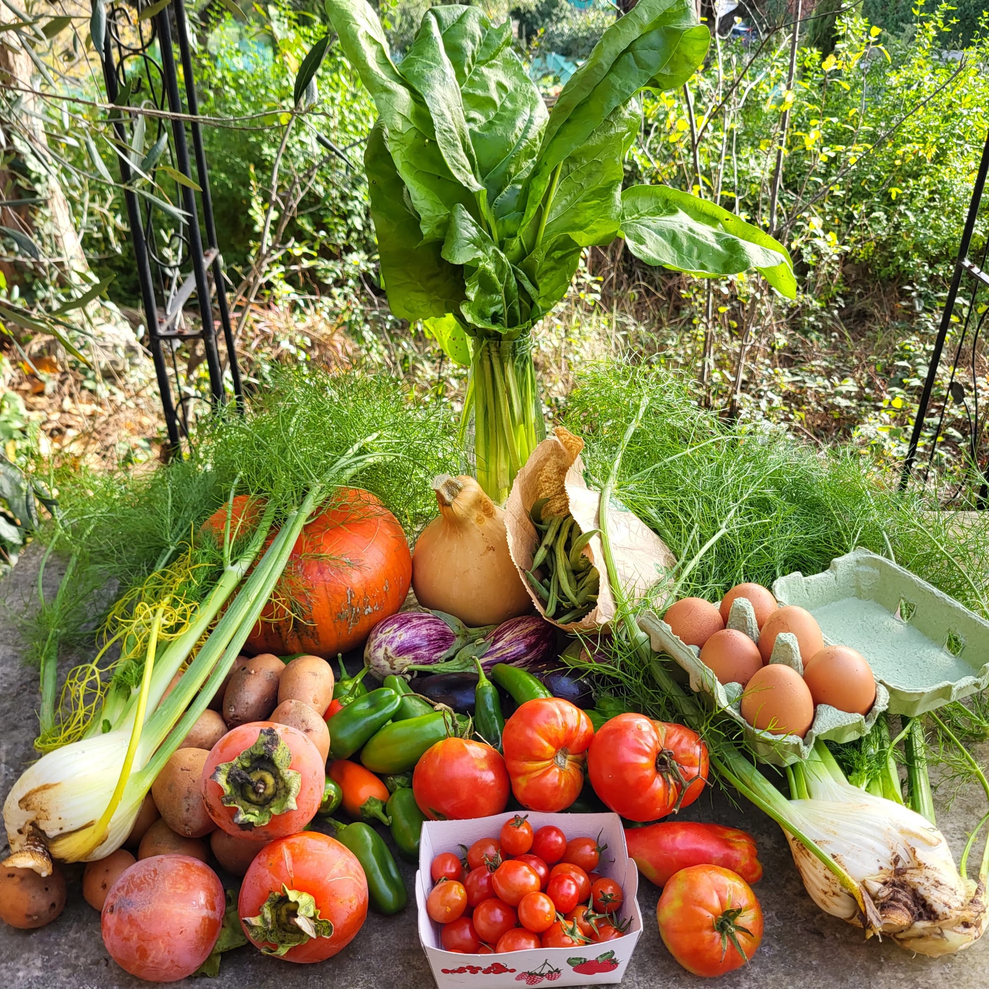 Panier du 29/10/2022