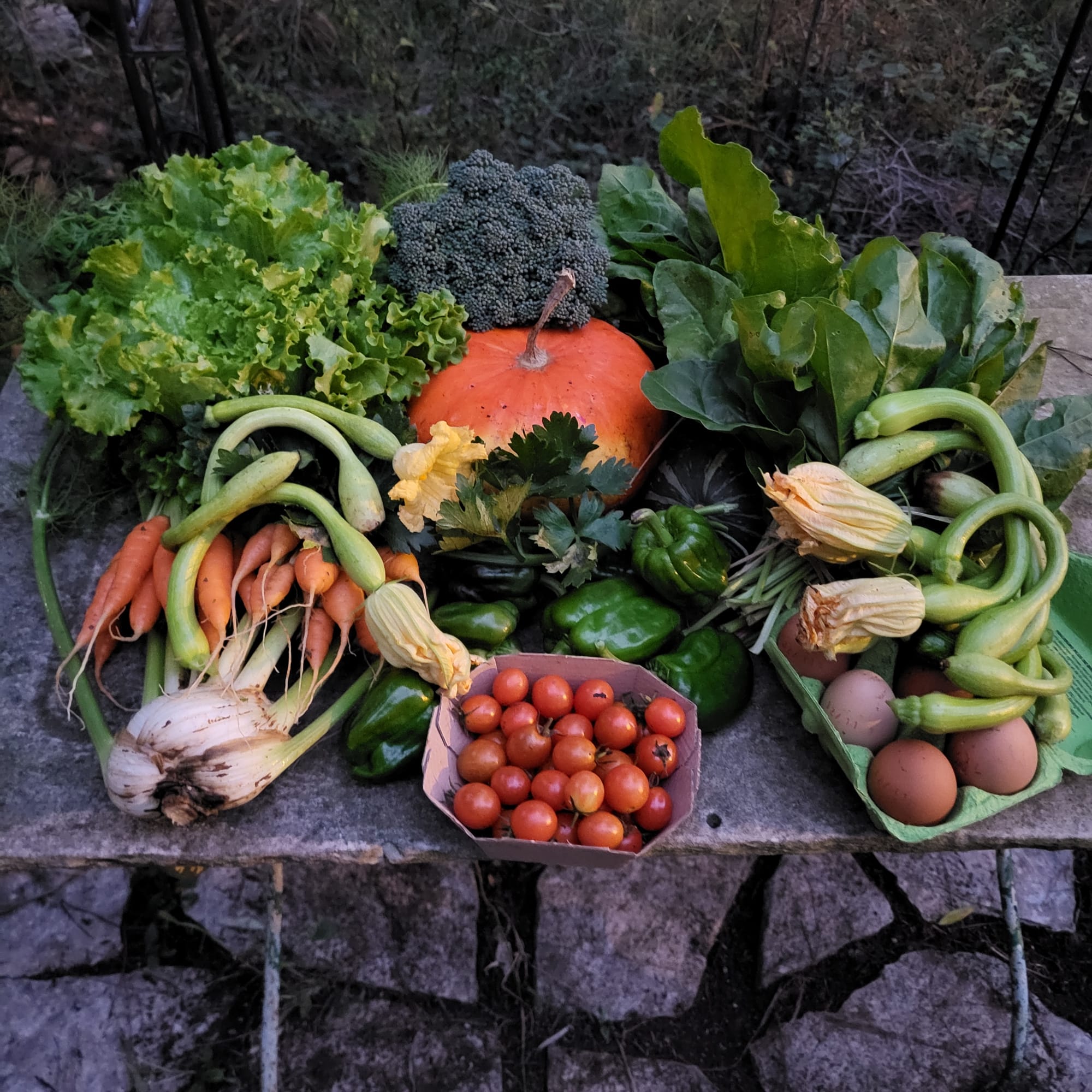 Panier du 12/11/2022