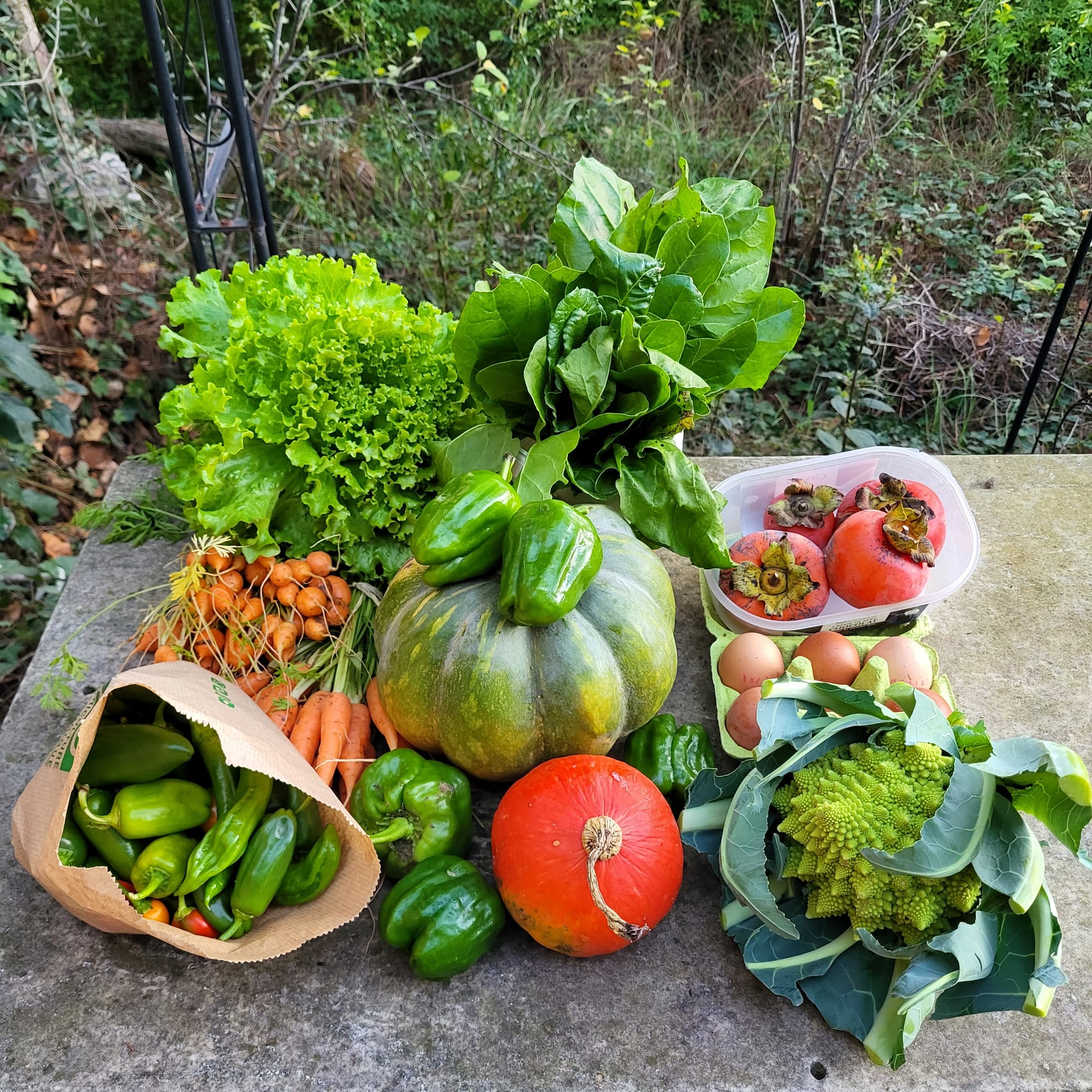 Panier du 19/11/2022