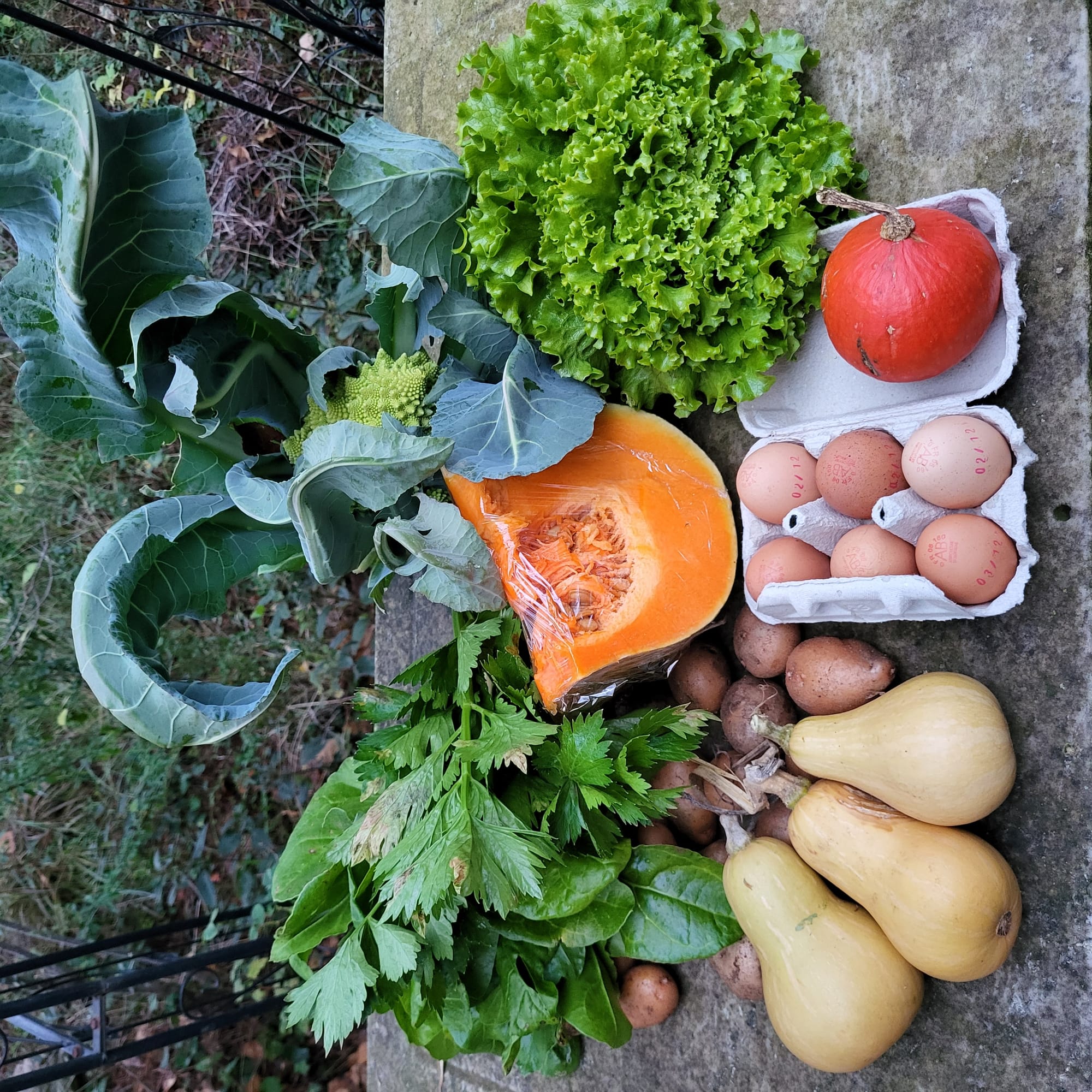 Panier du 03/12/2022