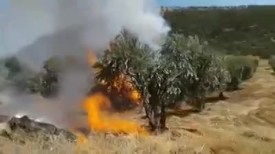 من وحي الألم و المعاناة ...المحامي حسن علو