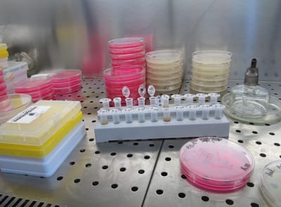 About Us - TKL Lab Solutions