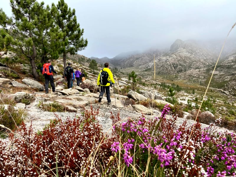 Feel the Adventure! Feel Gerês!!