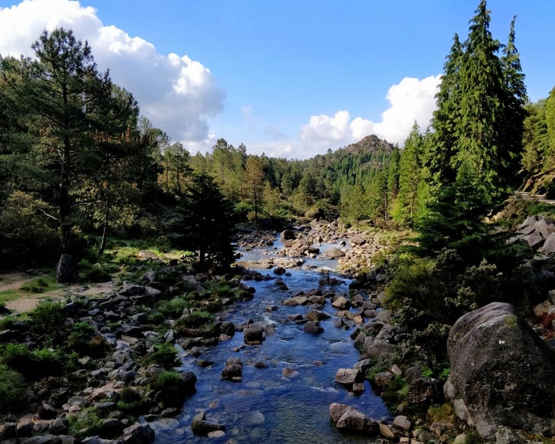 PENEDA-GERÊS 1000+