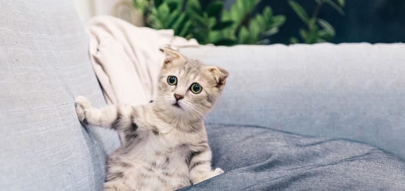 Stress and how massage helps