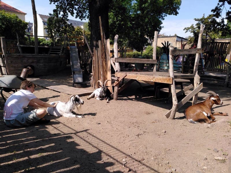 Tiergeschichten: Kein Bock auf Anfassen.