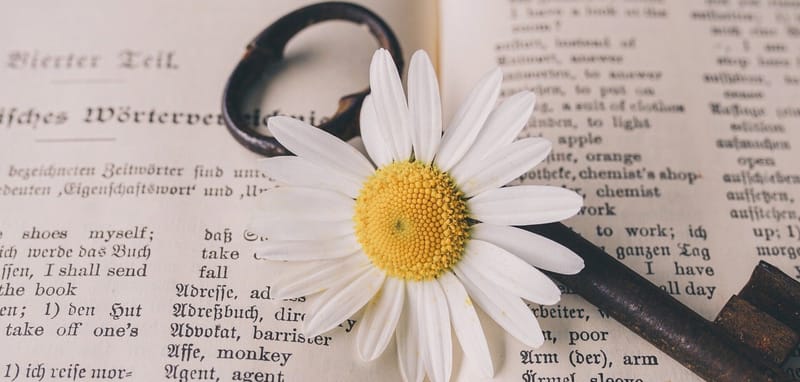 Kleines Jin Shin Jyutsu ABC