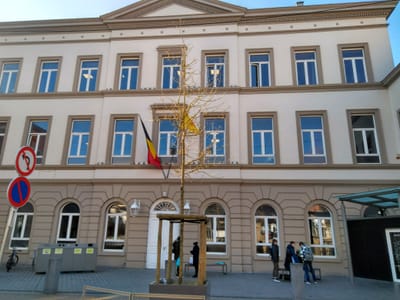 Job Shadowing Inda Arlon