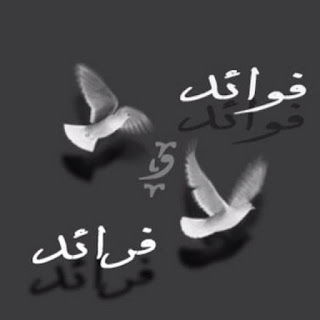 قناة فرائد الفوائد