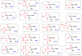 QCM BIOCHIMIE image