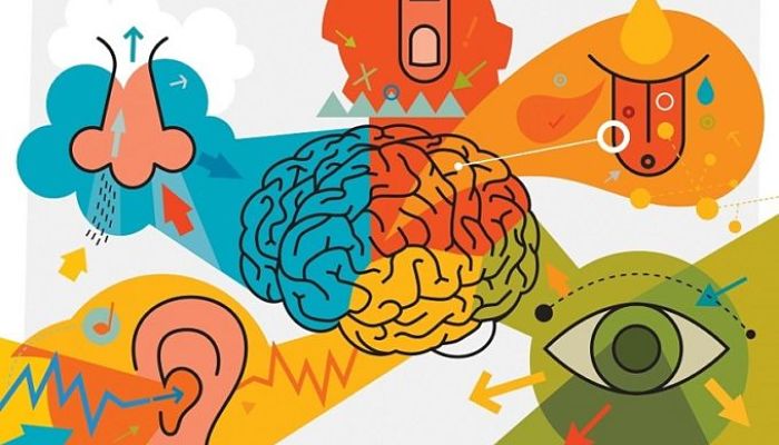 La percepción y adquisición de la información