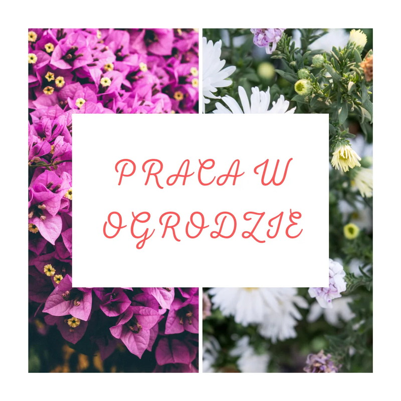 Praca w ogrodzie