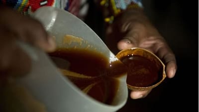 EL YAGÉ image