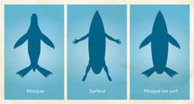 La Vue Des Requins image