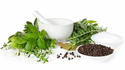 BENEFICIOS DE UTILIZAR LAS PLANTAS MEDICINALES