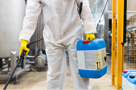Finding a Local Pest Control Company with the Highest Reviews