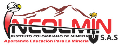INSTITUTO INCOLMIN S.A.S