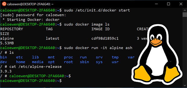 Conoce que versión de Linux tienes instalada