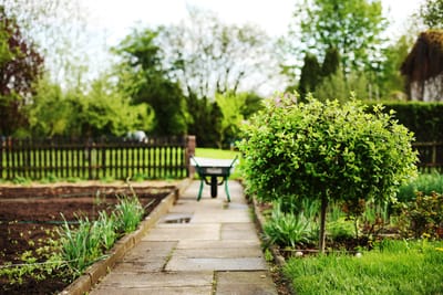 Gardening Tips For Limited Spaces