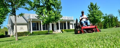 Top Easy Tips For Mowing Your Lawn For A Lush Viewpoint